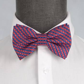 Бабочка мужская 0078