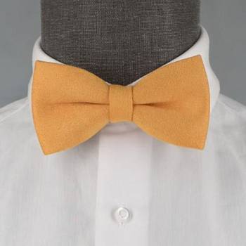 Бабочка мужская с платком 0259