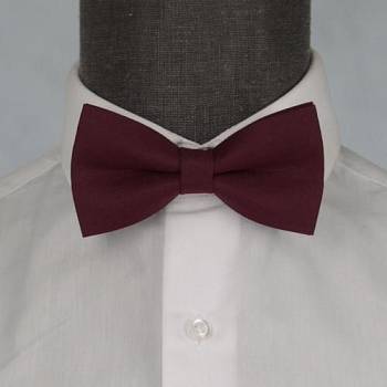 Бабочка мужская 0161