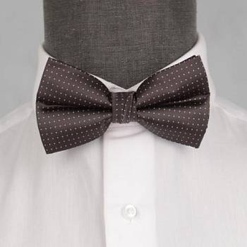 Бабочка мужская 0170